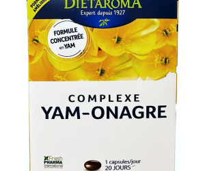 Yam Evening Primrose